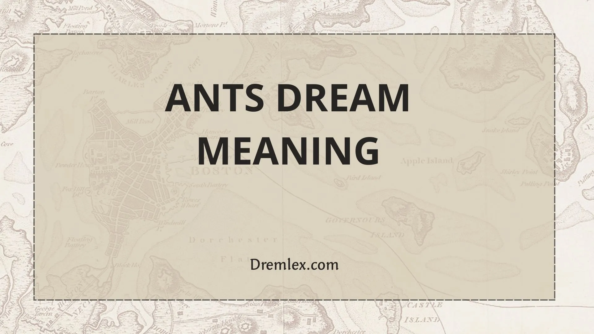 Ants Dream Meaning