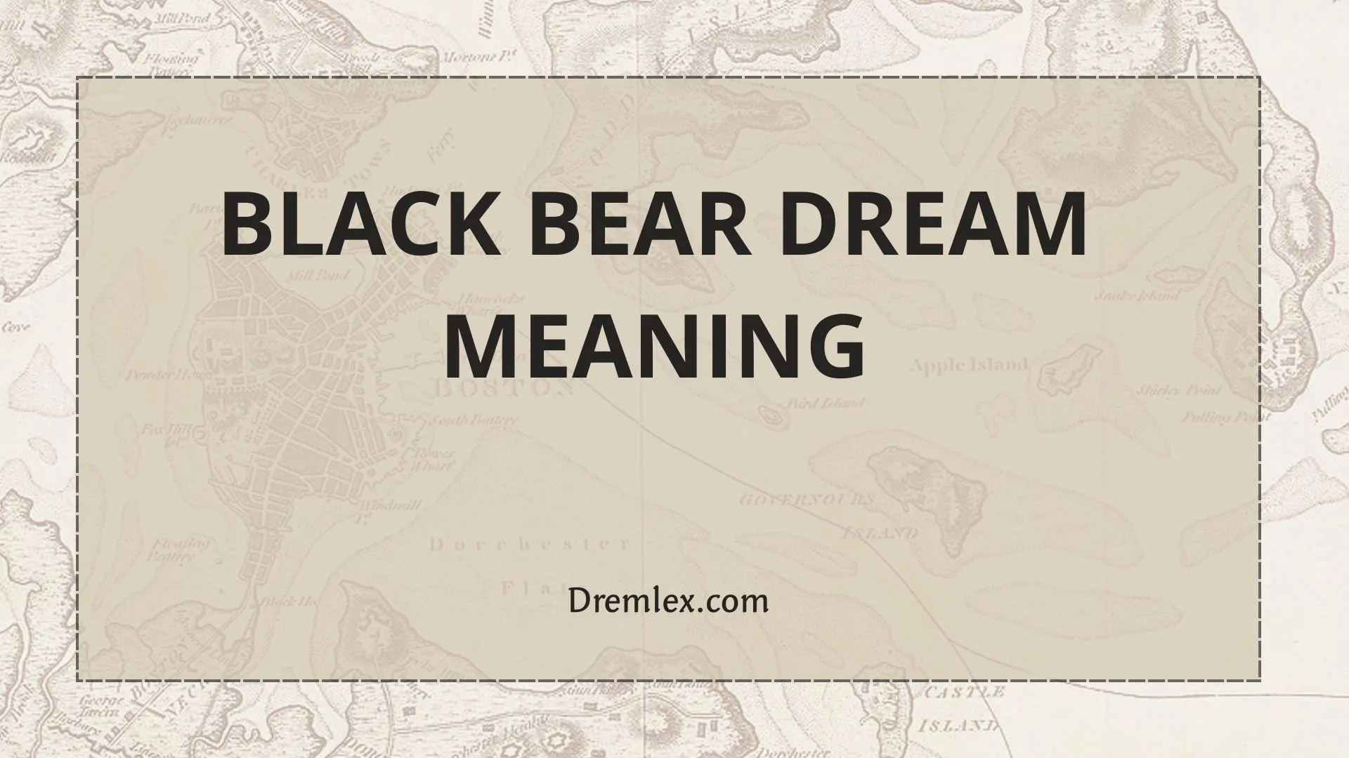 Black Bear Dream Meaning