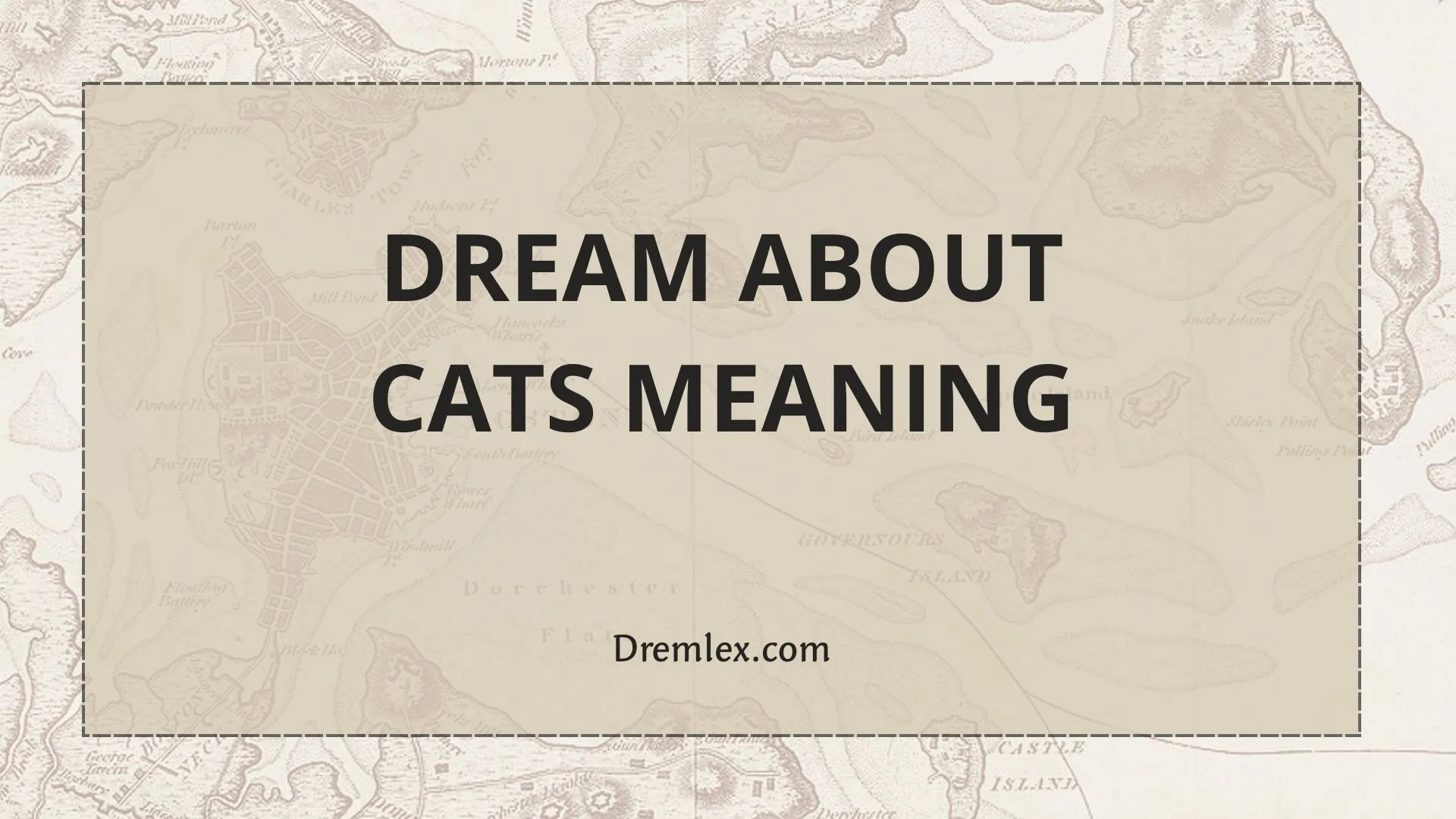 Dream About Cats Meaning