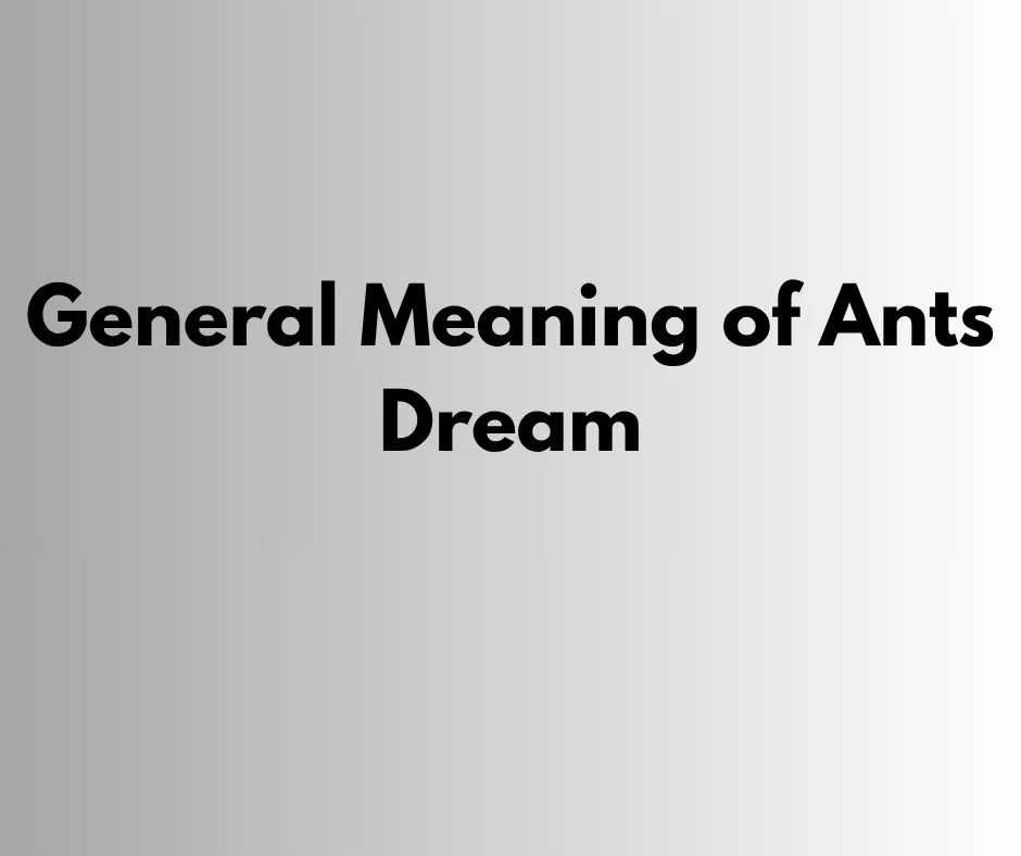 General Meaning of Ants Dream