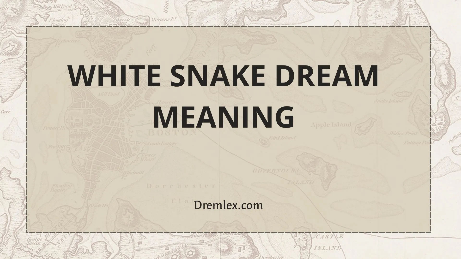 White Snake Dream Meaning