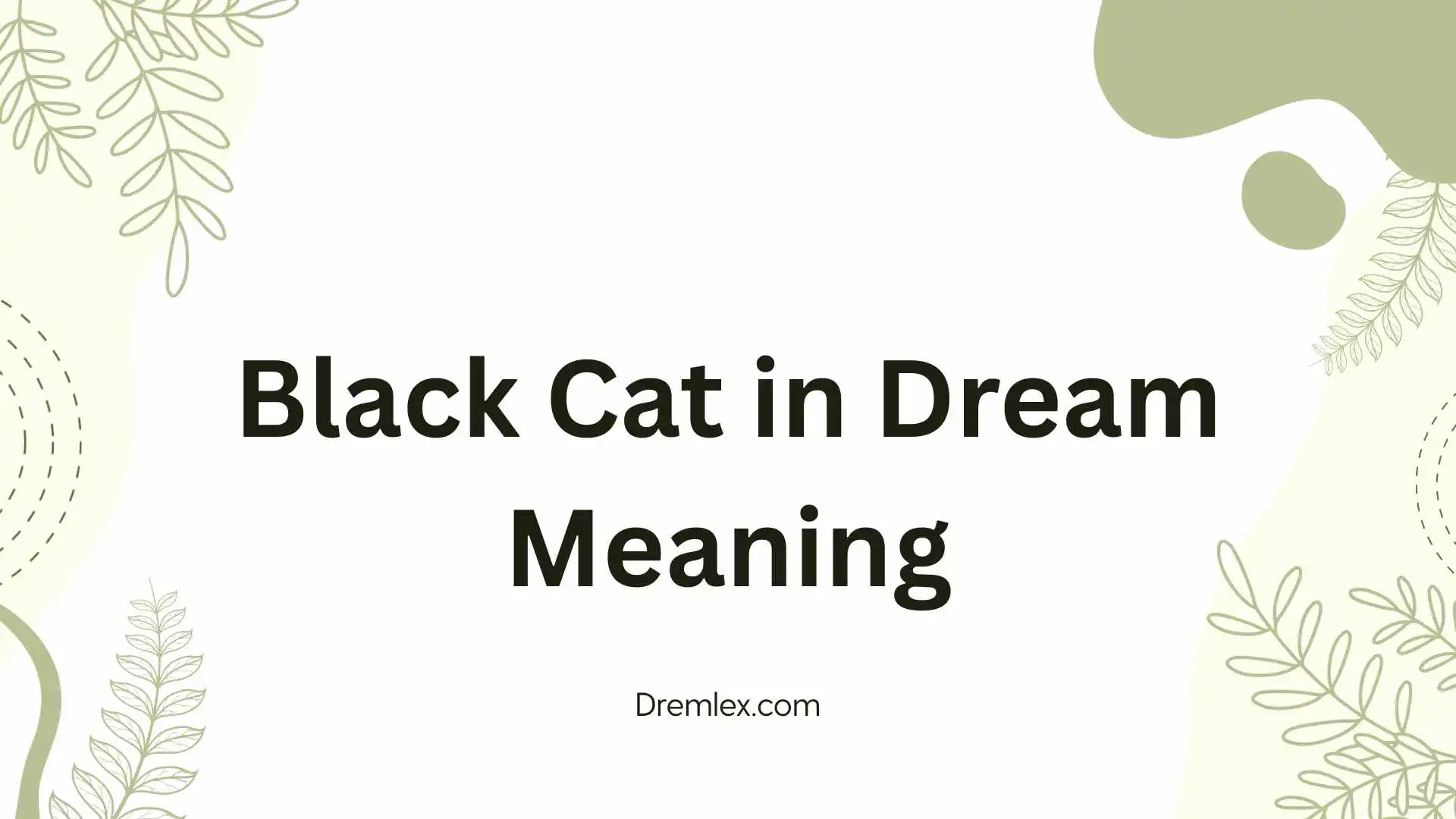 Black Cat in Dream Meaning