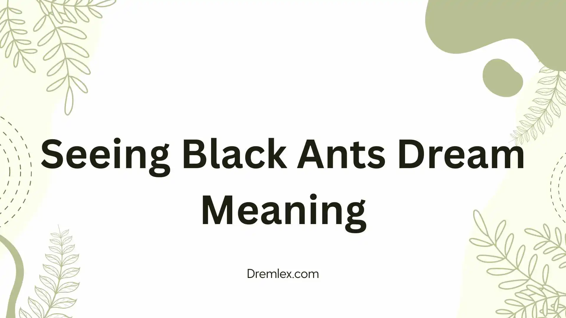 Seeing Black Ants Dream Meaning